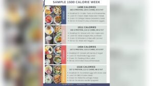 Read more about the article 1500 Calorie Meal Plan: Easy, Balanced & Delicious Recipes